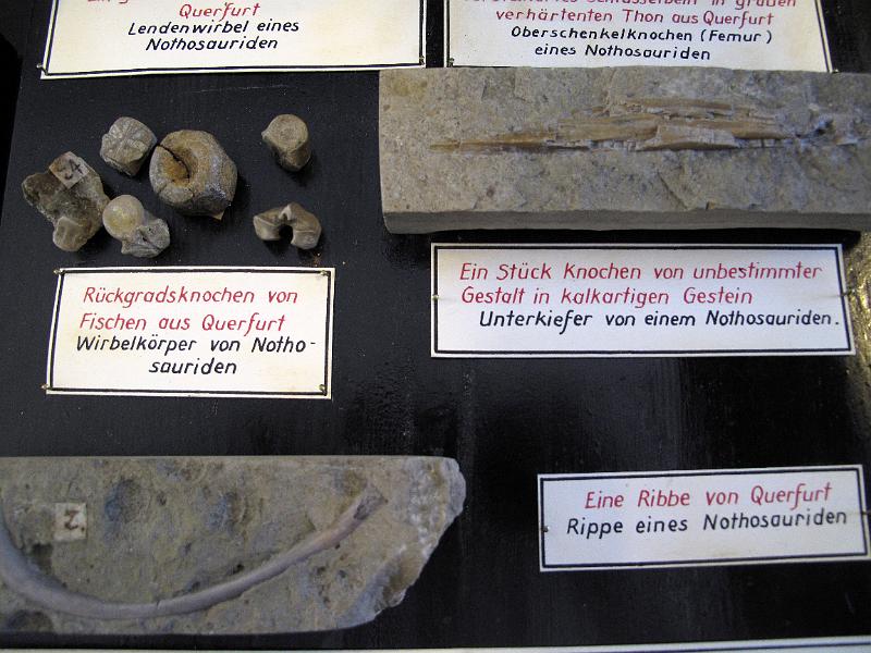 Waldenburg (29).JPG